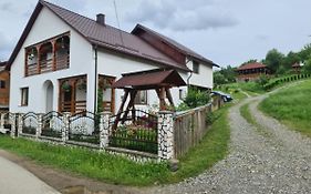 Pensiunea Mirela Guest House